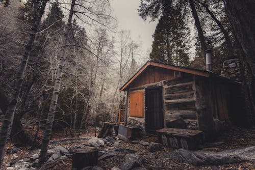 Casa In Legno Marrone