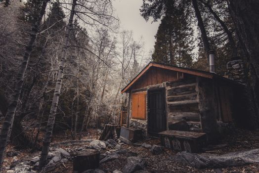 Brown Wooden House