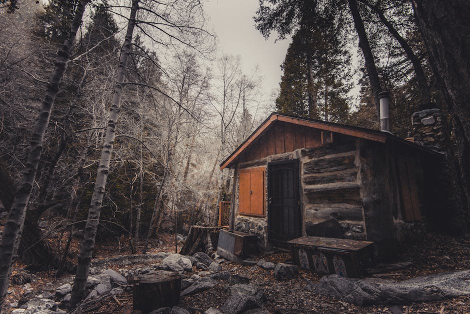 abandoned, broken, cabin