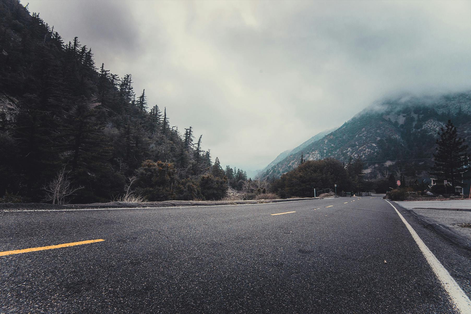 Free stock photo of bend, dangerous, fog