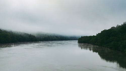 River flowing through lush forest on rainy day