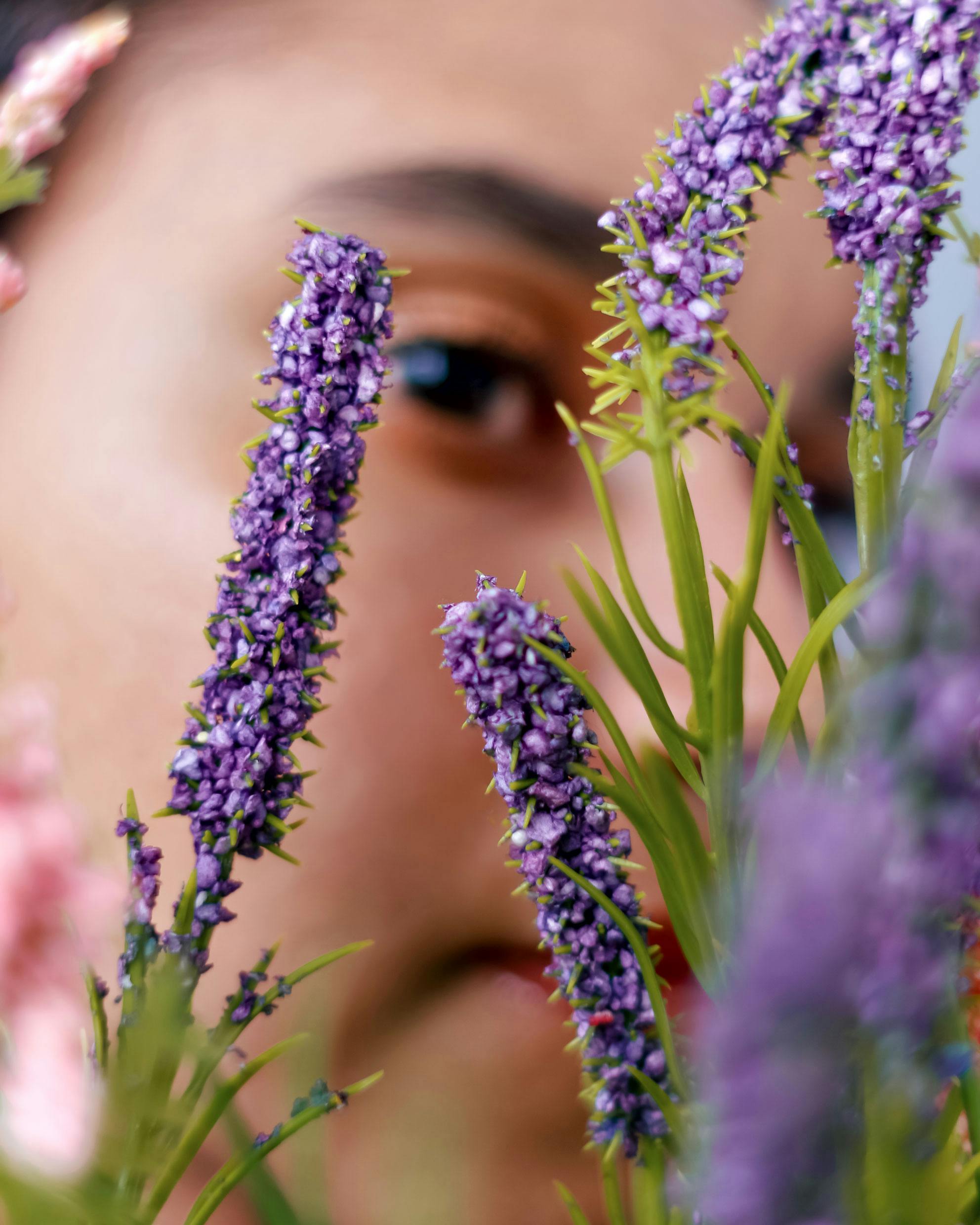 Closeup of tender lavender blossoms with young ethnic woman hiding behind in blur