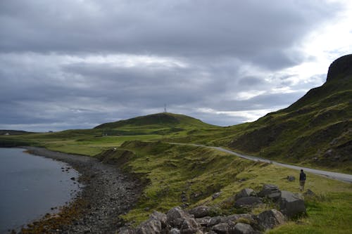 Peaceful green shore in overcast day