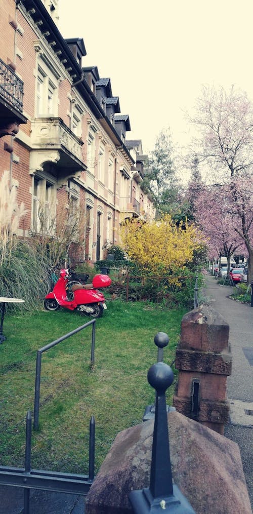 Free stock photo of old building, red scooter, vintage