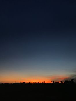 Minimal landscape with silhouette of trees at horizon under dark clear sky at sundown