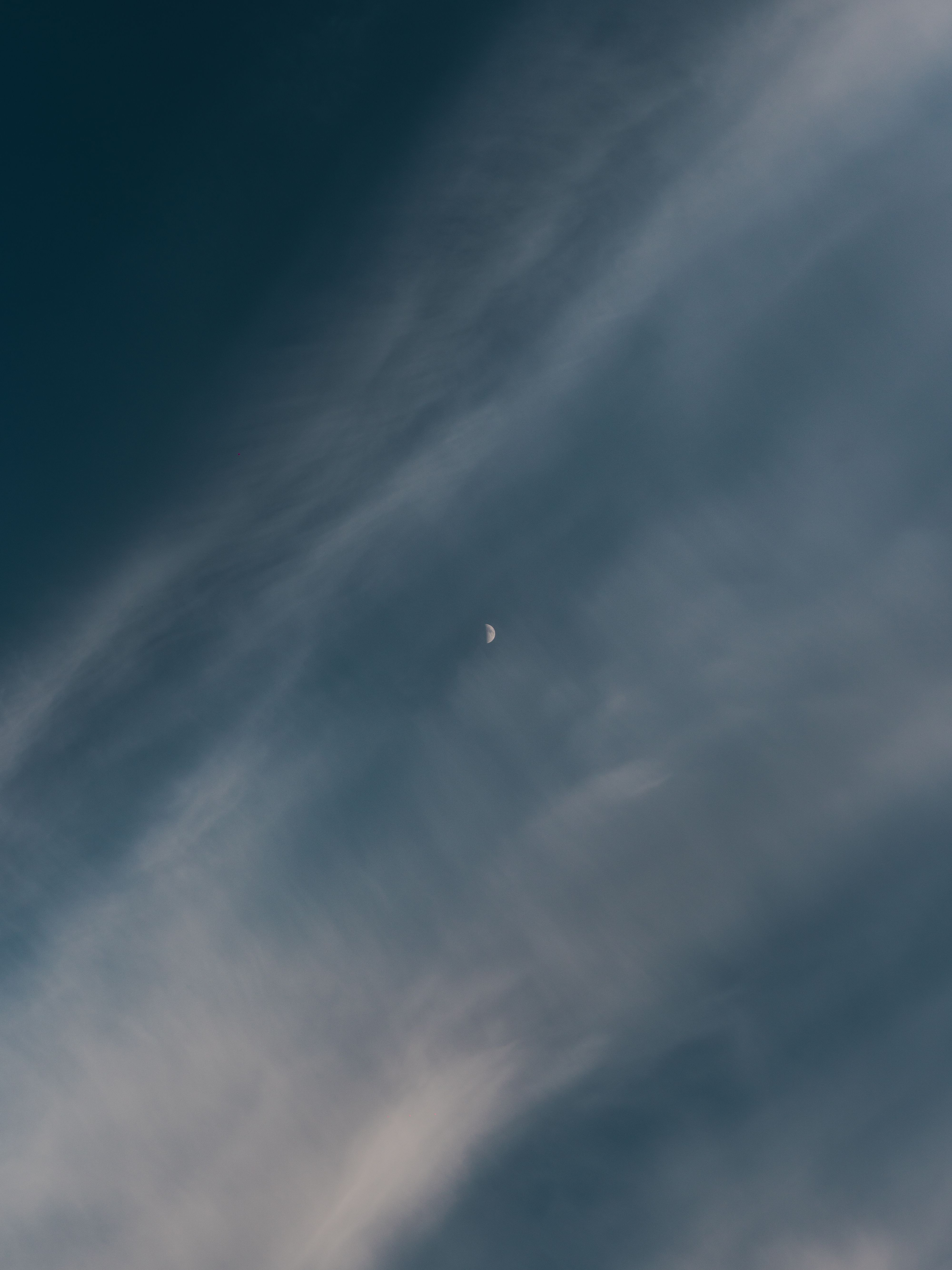 Half Moon on the Sky \u00b7 Free Stock Photo