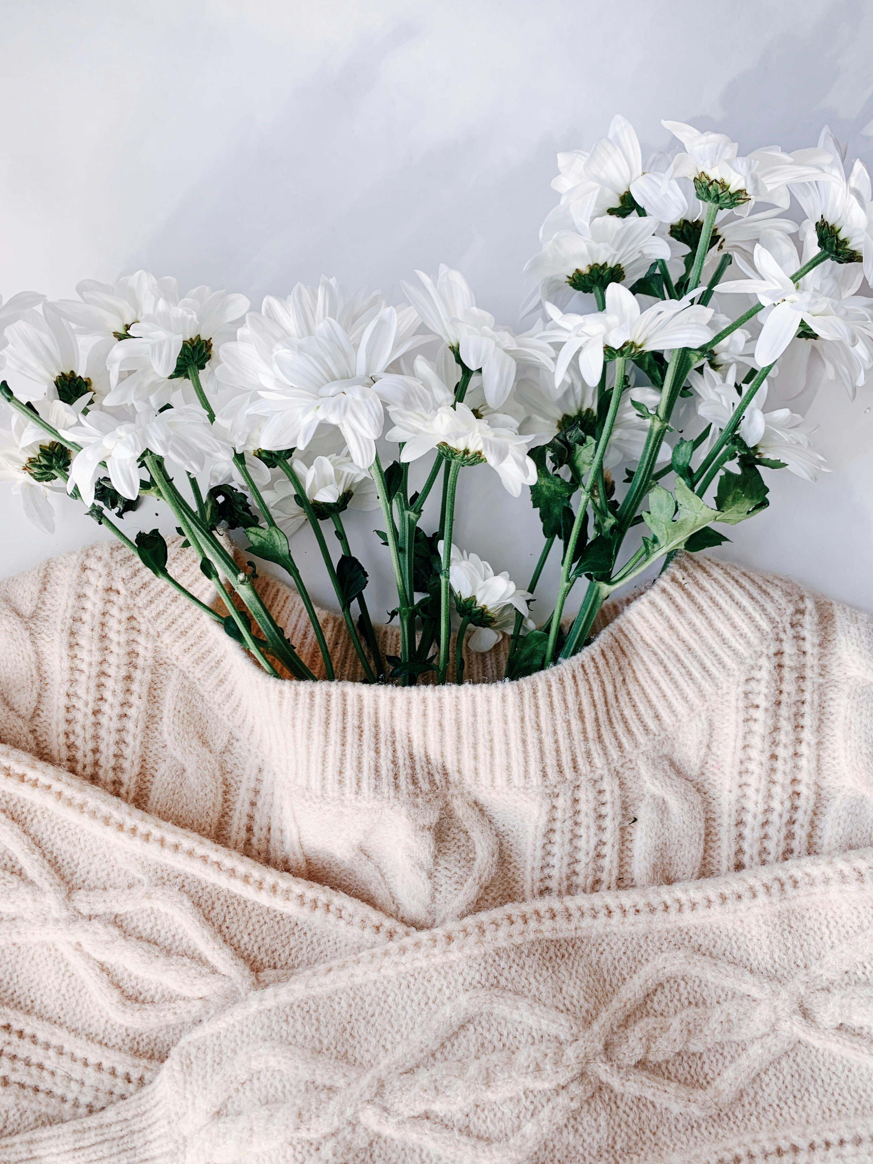 From above of white blossoming flowers with tender petals in warm sweater on desk in flat