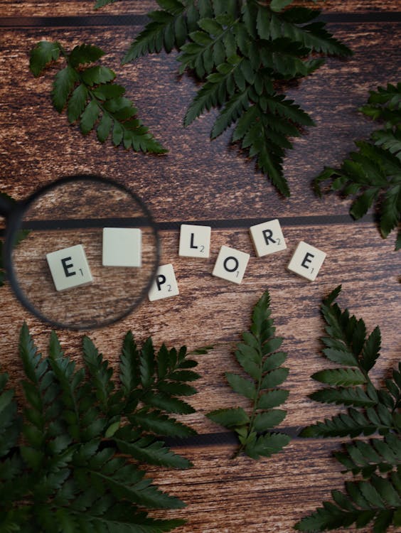 Free Cubes with letters near magnifying glass and green leaves Stock Photo