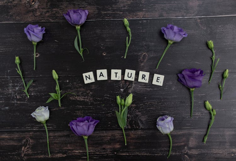 Flower Heads And Scrabble Letters Writing Nature