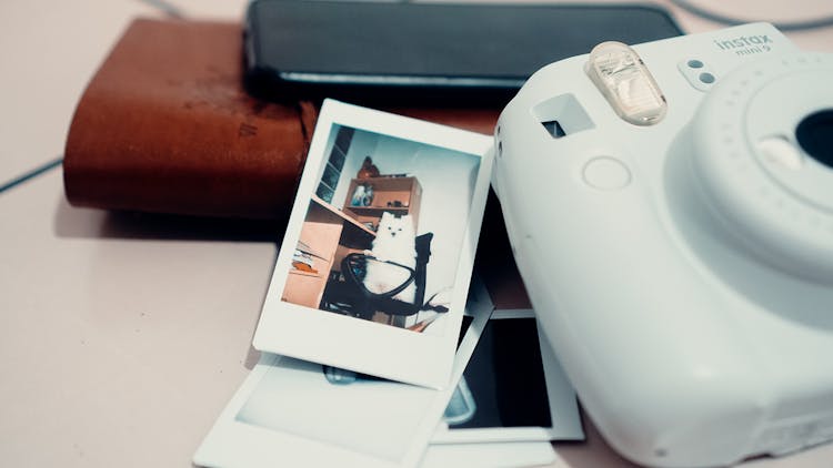 Instant Camera And Photo Placed On Desk