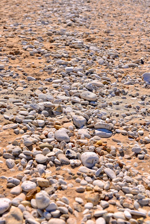 Gratis lagerfoto af bed af klipper, sten, strand