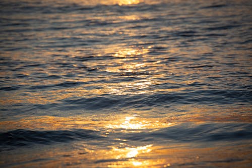 Free Photograph of an Ocean During Sunset Stock Photo
