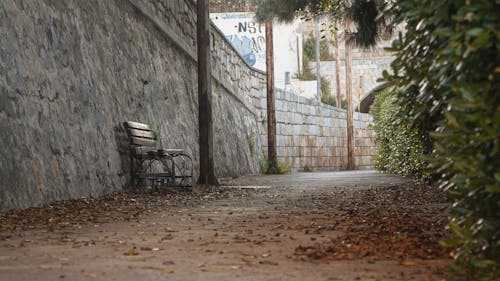 Free stock photo of 16 9, bench, dead leaf