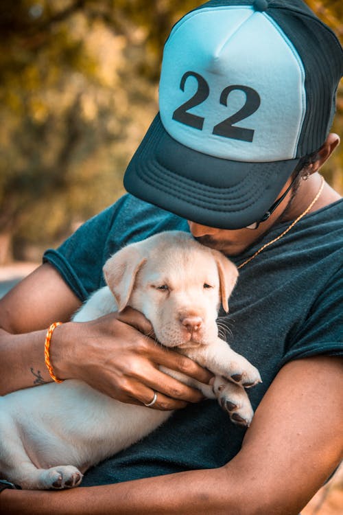 Free Selective Focus Photo of a Man Kissing a Labrador Puppy Stock Photo