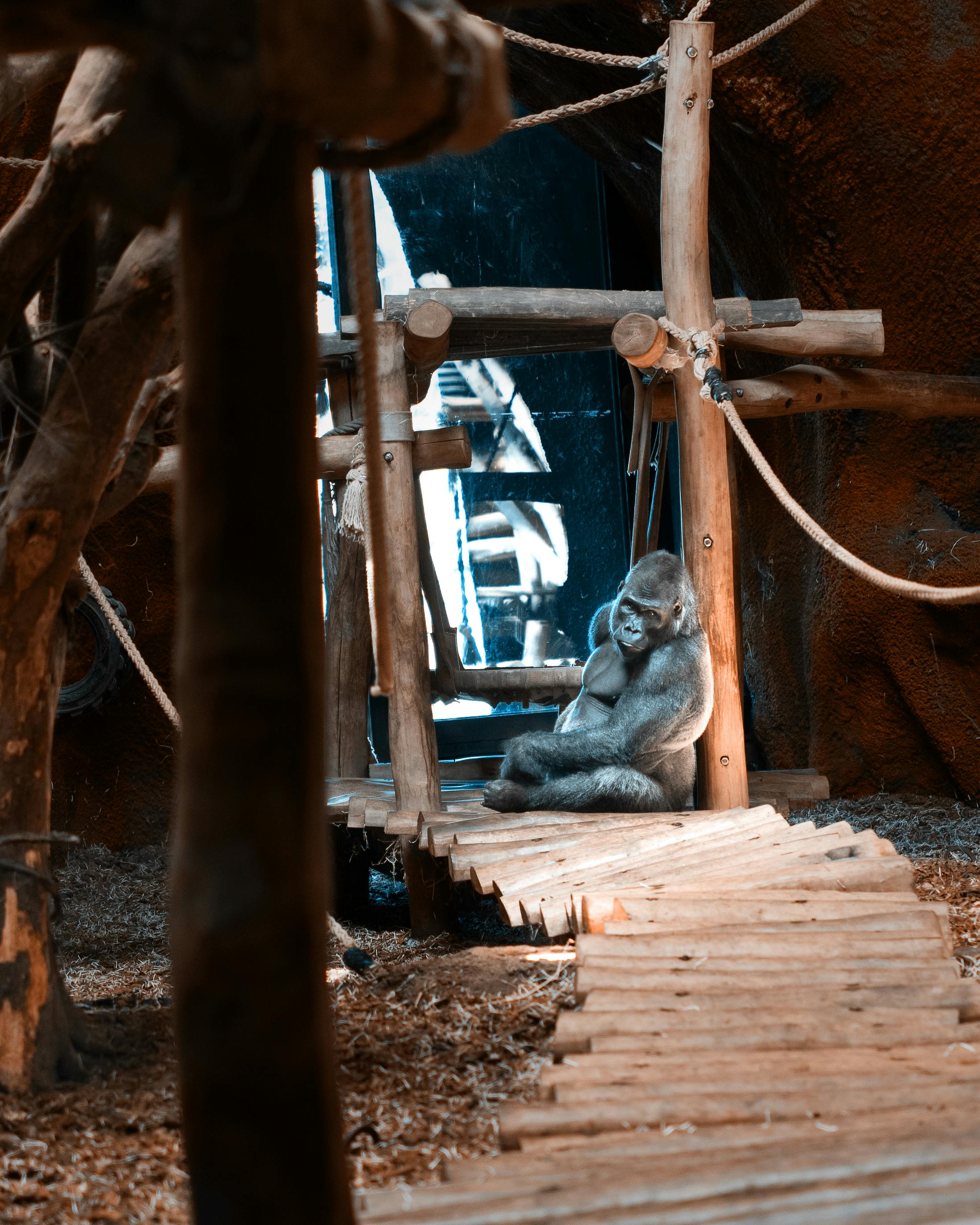 Foto profissional grátis de abandonado, arquitetura, com defeito