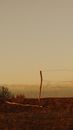 Half damaged weathered security wires located on dry grassy field in dusty countryside in evening
