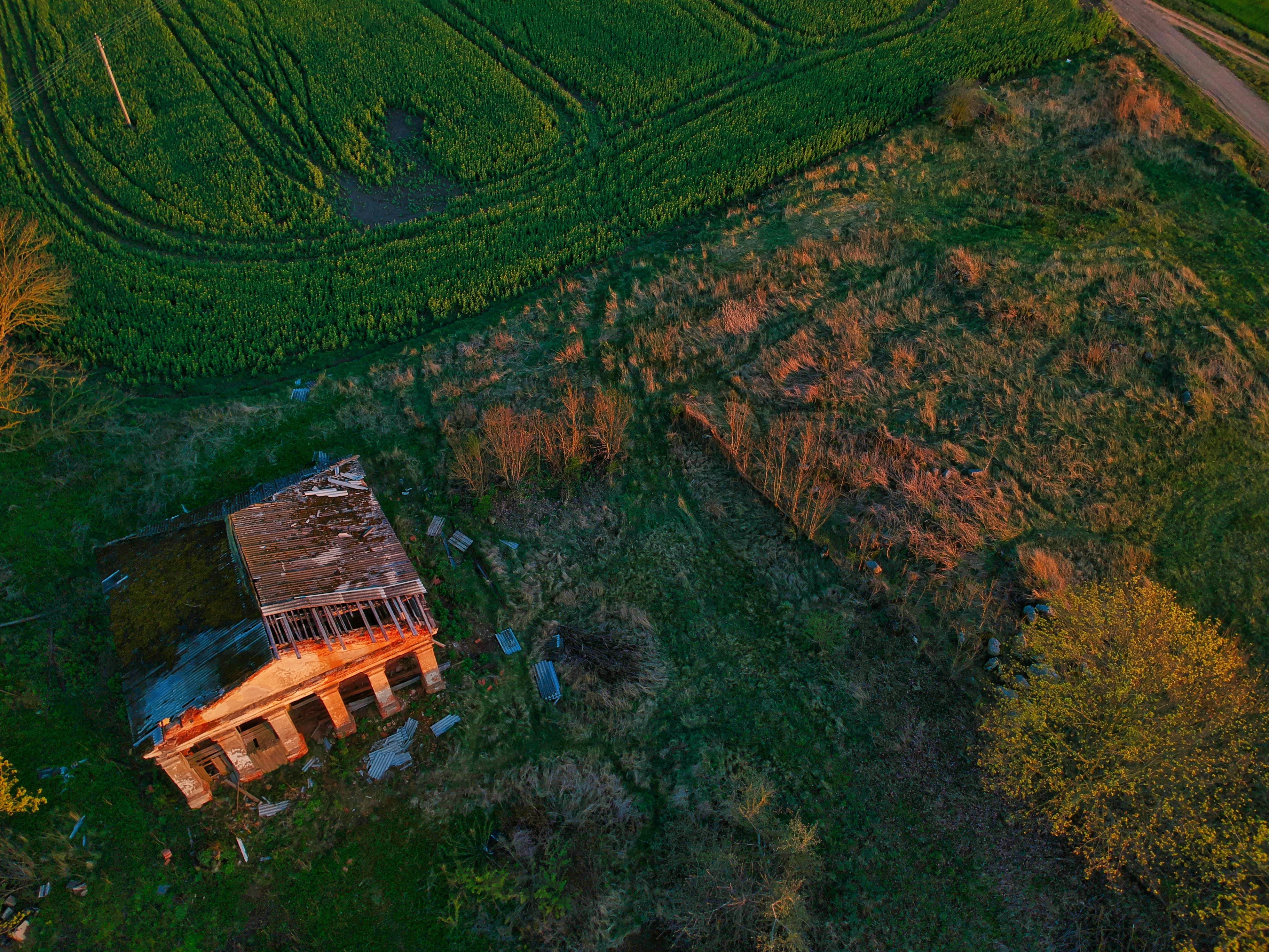 Hail Damage on Roof - hail damage roof repair