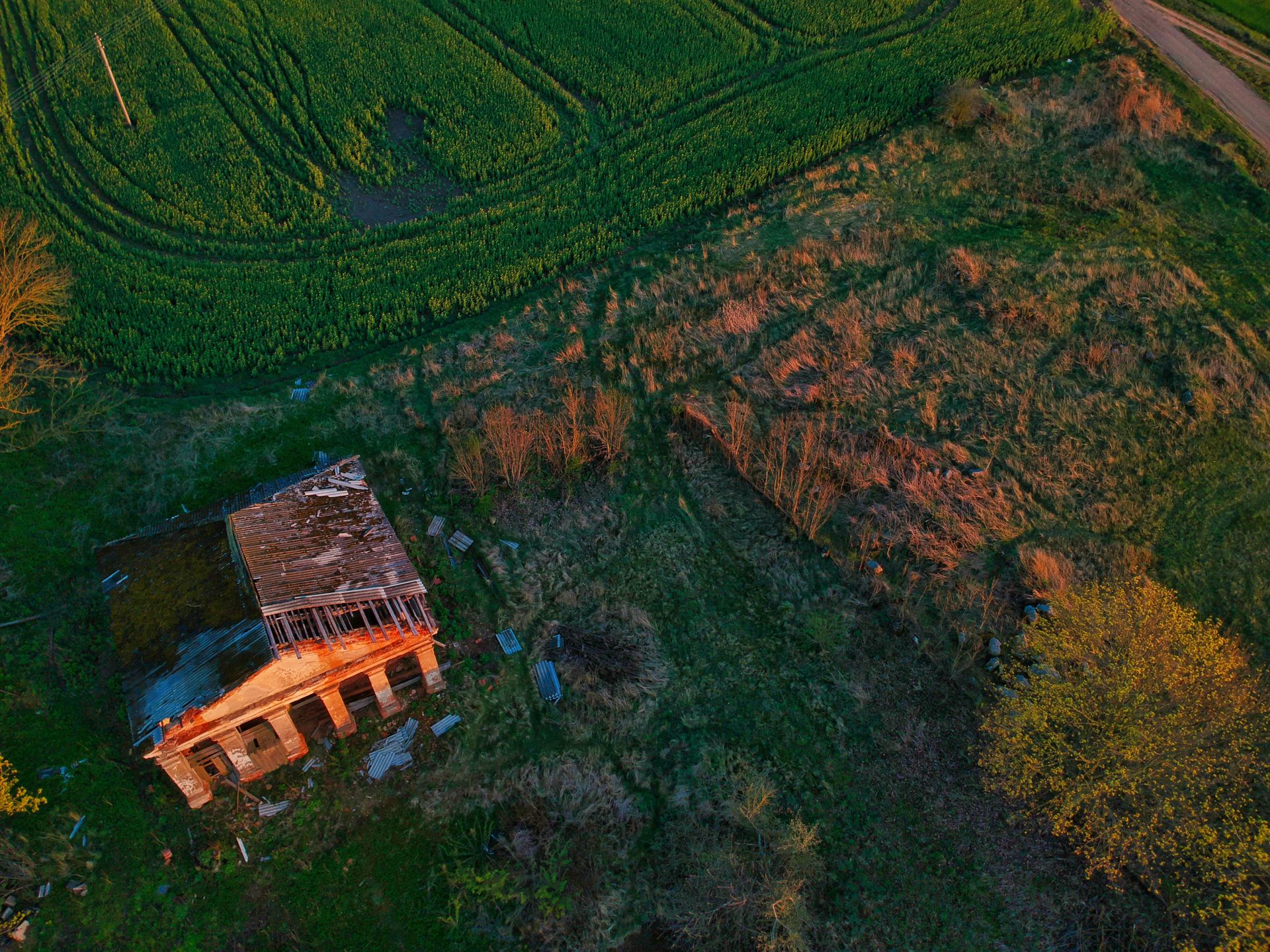 Aerial view of abandoned house with destroyed roof located on green grassy field in countryside during sunset