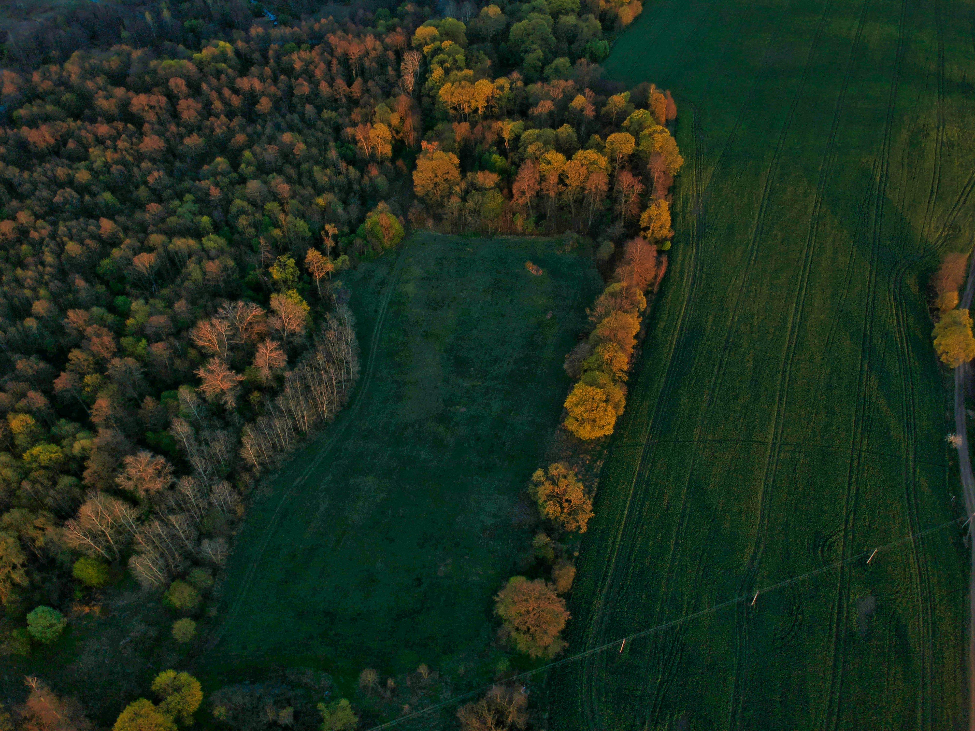 Green lands with multicolored trees on autumn day · Free Stock Photo