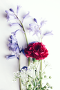 Red and White Roses in Clear Glass Vase