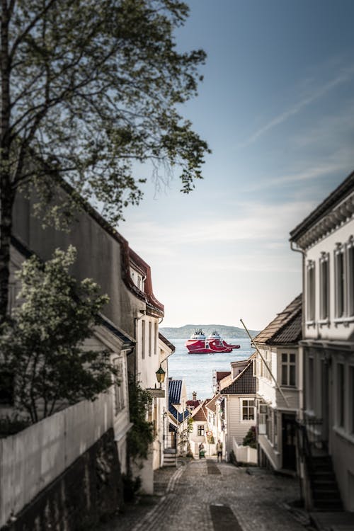 划船, 卑尔根, 圓石 的 免费素材图片