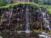 在森林的环绕中，宁静的瀑布从长满苔藓的岩石上倾泻而下，构成一幅静谧的自然景观