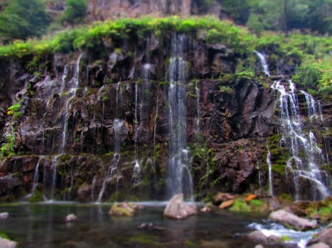在森林的静谧环境中，瀑布从长满青苔的岩石上倾泻而下，构成了一幅宁静的自然画卷