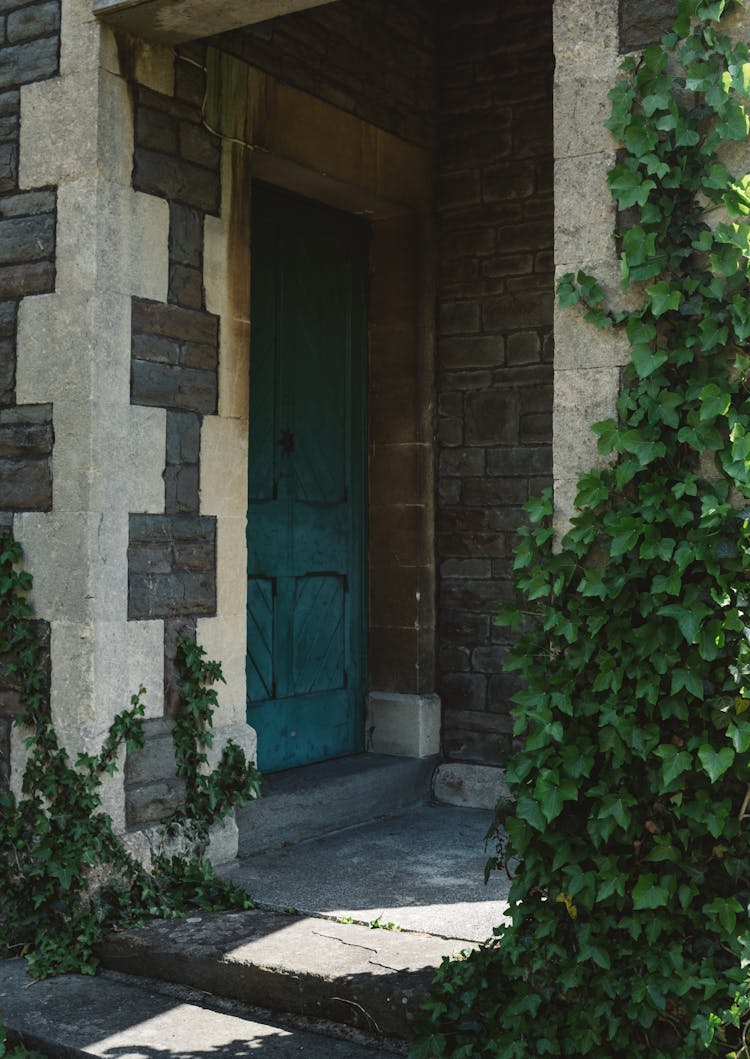 Courtyard Of Aged Building With Blue Doors And Ivy On Wall