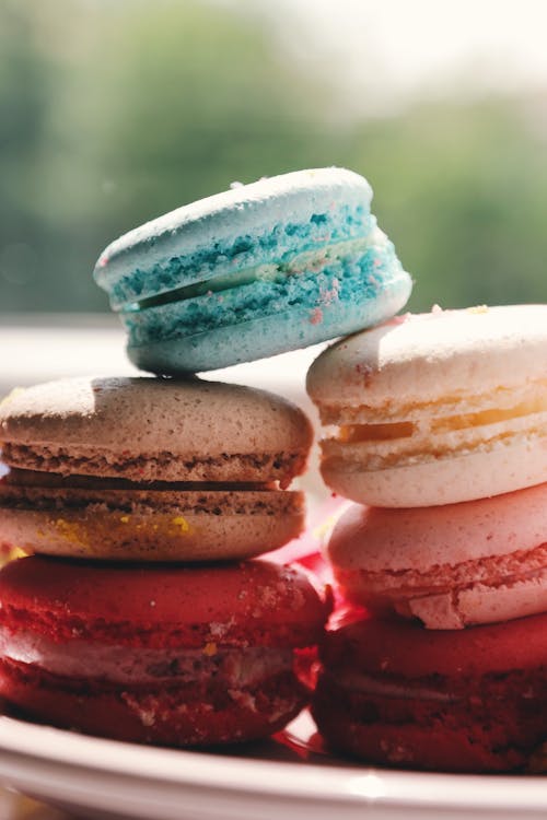 Free Macaroons Served on Plate Stock Photo