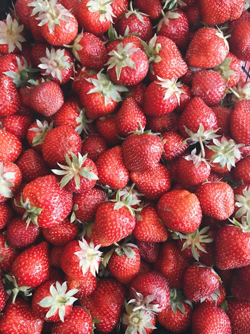 红草莓水果很多