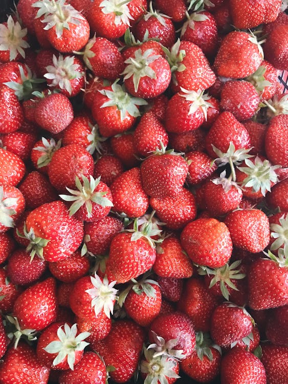 Red Strawberry Fruit Lot
