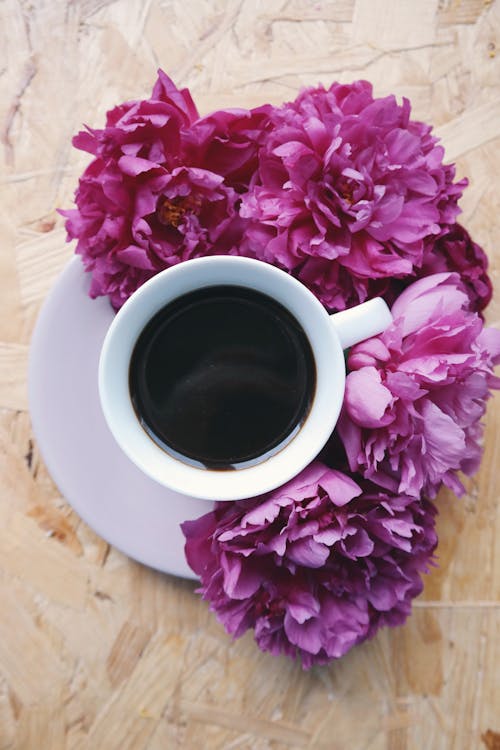 Free Cup of Coffee Beside Flowers Stock Photo
