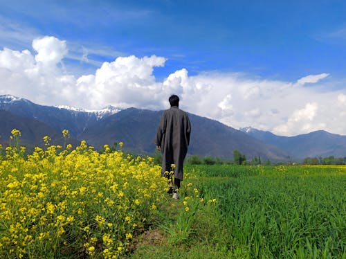 걷고 있는, 꽃 피는 식물, 남자의 무료 스톡 사진