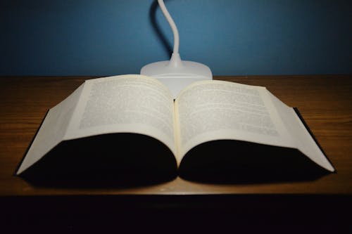 High angle of opened textbook placed on wooden table under artificial light of white lamp against blue wall