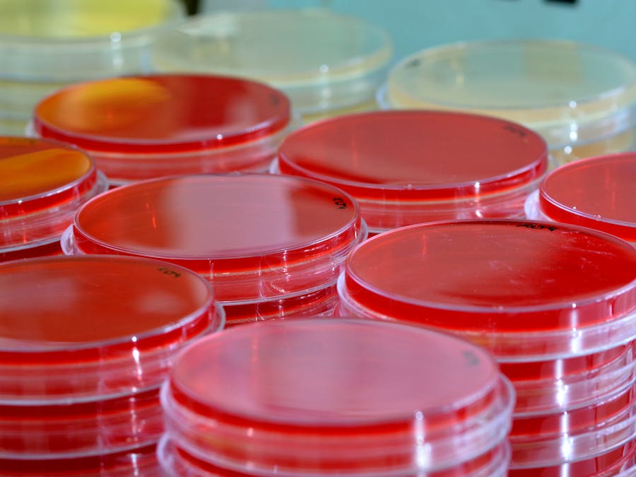 Does a blood test reveal all cancers?