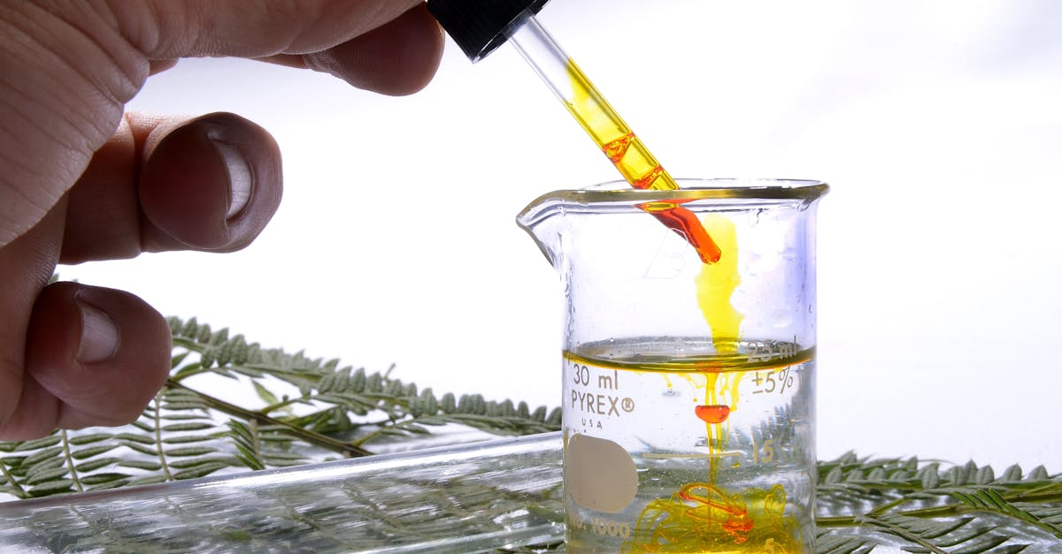 What does the term spontaneous mean in chemical reactions briefly
