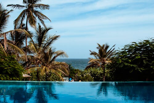 Outdoor blue swimming pool surrounded by lush green tropical palms near ocean beach on sunny day