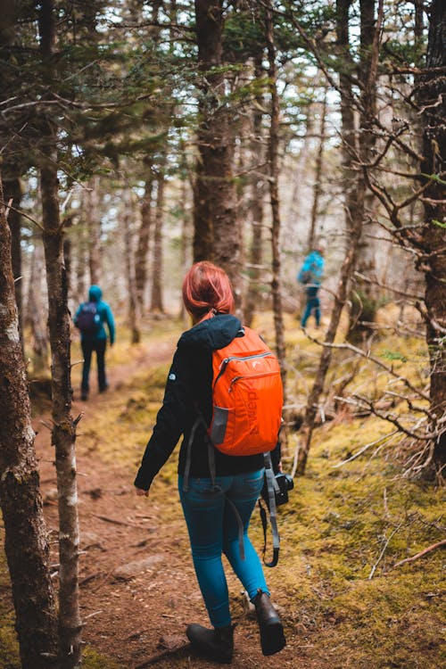 Back view of unrecognizable female traveler in warm clothes walking in green forest