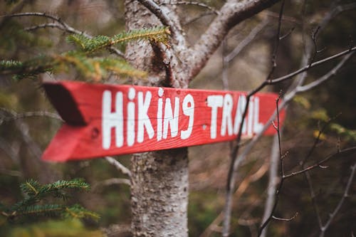 Red arrow pointer to hiking trail