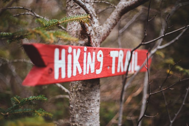 Red Arrow Pointer To Hiking Trail