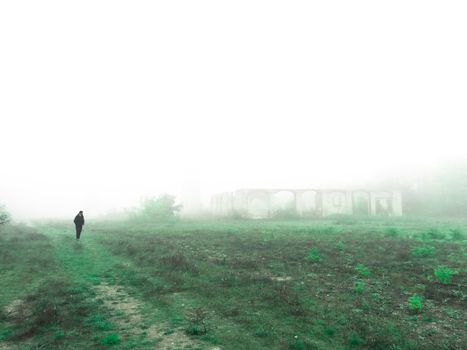Person Walking on Green Grass Field during Foggy Weather
