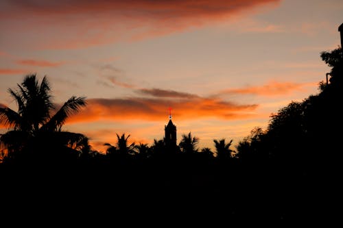 Silhueta De árvores Durante O Pôr Do Sol