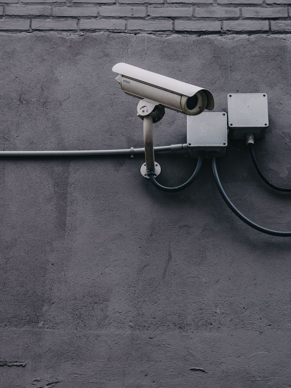 Security cameras and specialised electronics