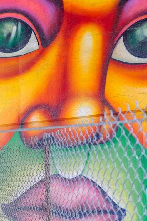 Human Face Wall Painting
