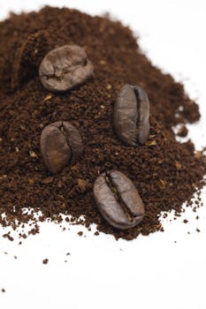 High-quality close-up image of roasted coffee beans on ground coffee, ideal for caffeine-focused themes.