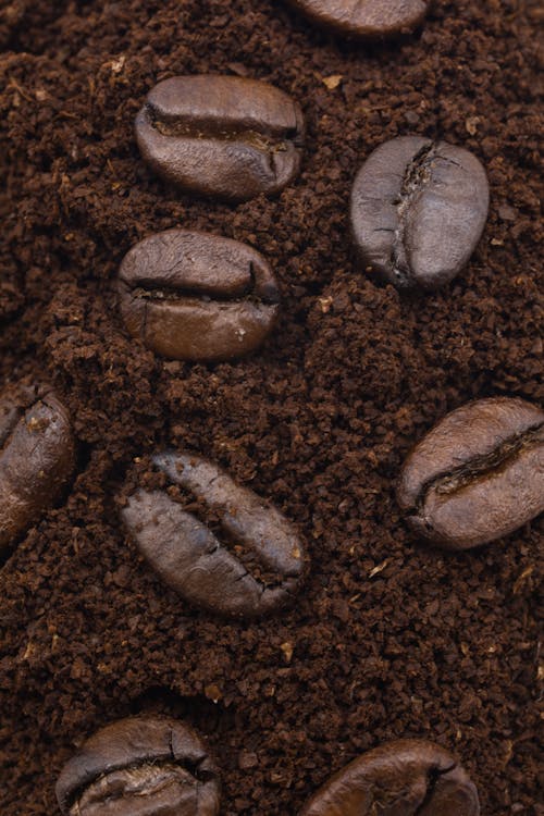 Free Close-Up Shot of Roasted Coffee Beans  Stock Photo