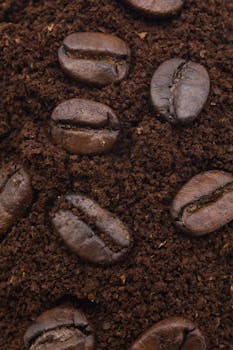 Detailed image of roasted coffee beans resting on ground coffee, showcasing rich texture and color.