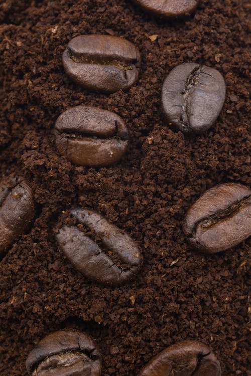 Close-Up Shot of Roasted Coffee Beans 