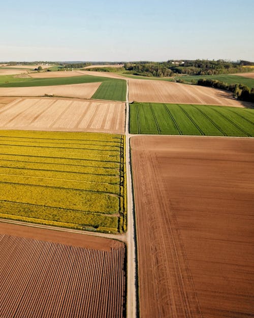 Different colorful agricultural fields under sky in countryside