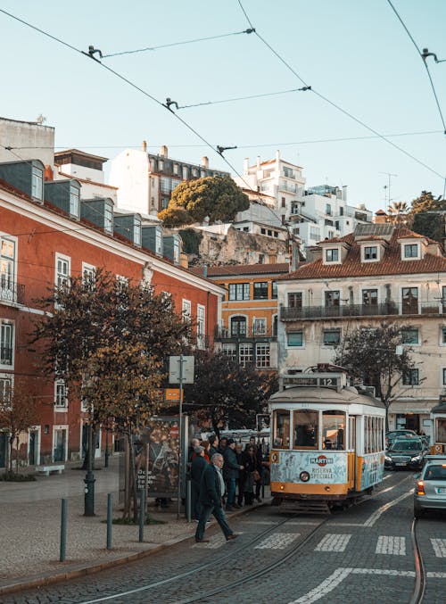 People Walking on the Street